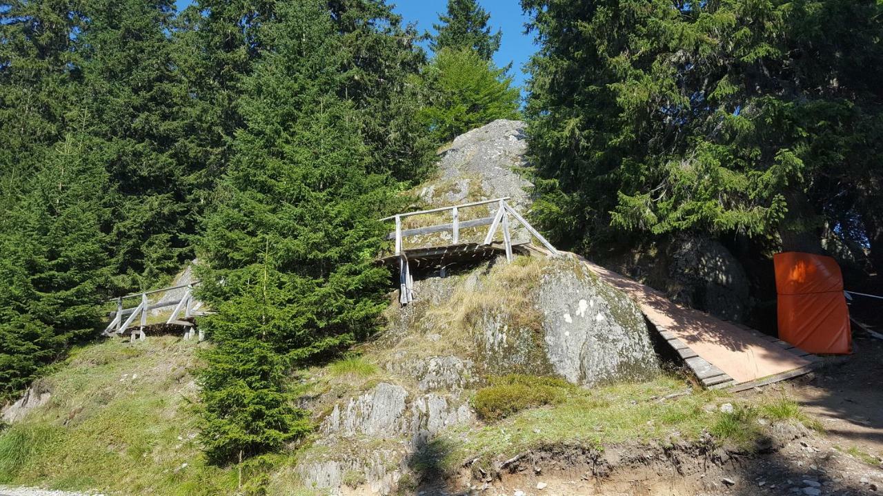 Apartamento Papa Moose Pamporovo Exterior foto